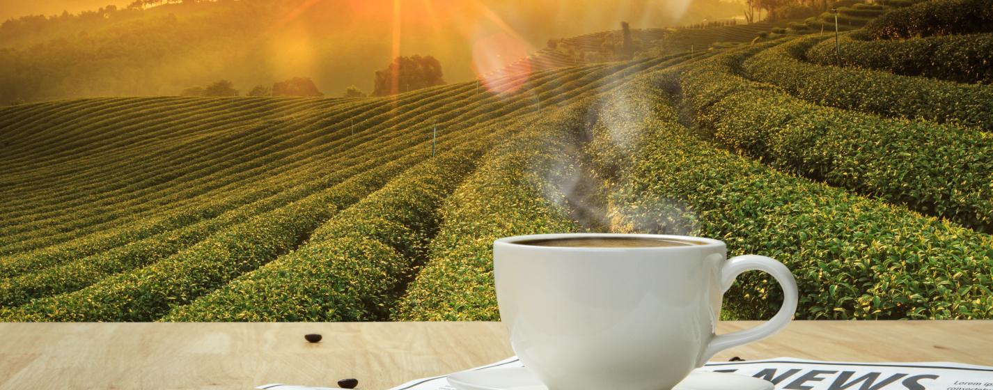 A close-up of a coffee cup and a newspaper in front of the hills and sunrise