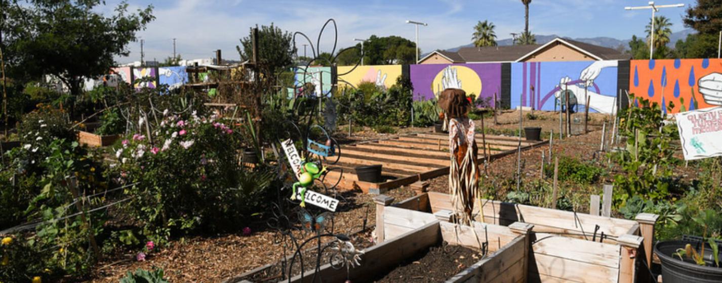 Urban Agriculture and Innovative Production Advisory Committee Members banner image
