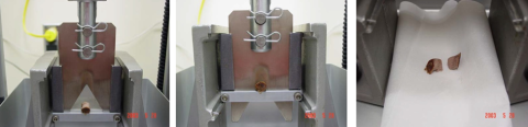 The Warner Bratzler shear attachment measures tenderness by determining the force required to cut a core piece of cooked steak