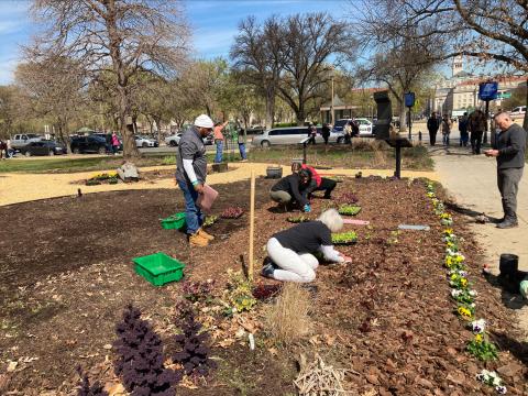 Volunteers in the People’s Garden
