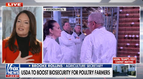 Image showing USDA Secretary Rollins speaking on FOX News