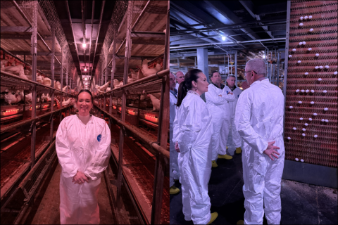Secretary Rollins visits egg farm