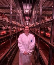 Secretary Rollins Tours Egg Laying Facility