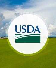 USDA logo