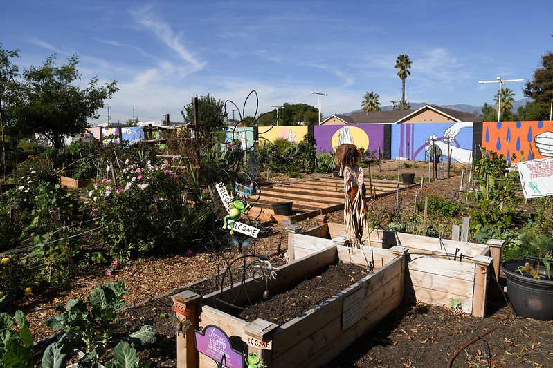 A garden with different colored panels in the background
