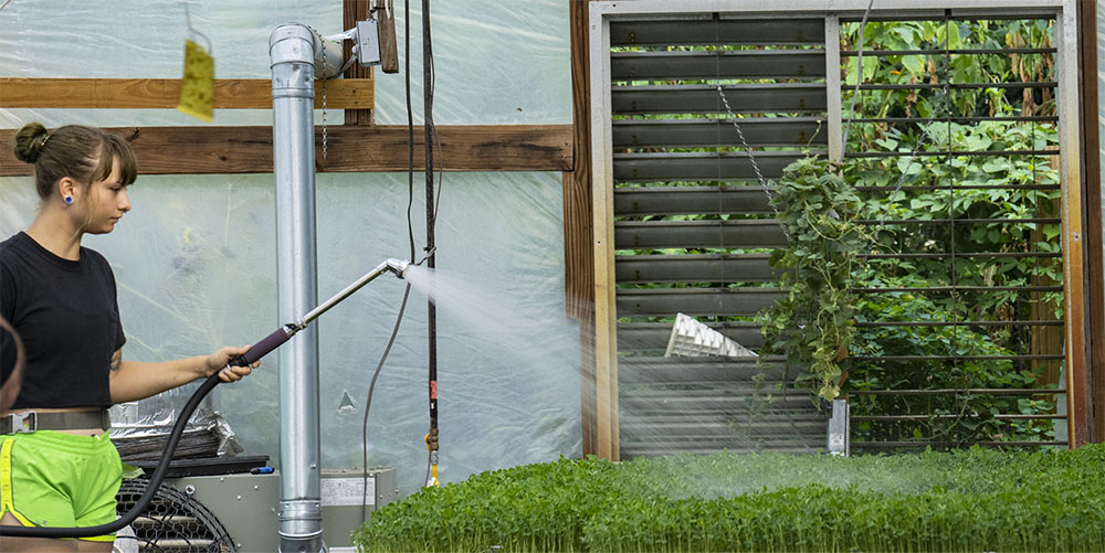 Urban innovative production image of a young girl watering grow plants