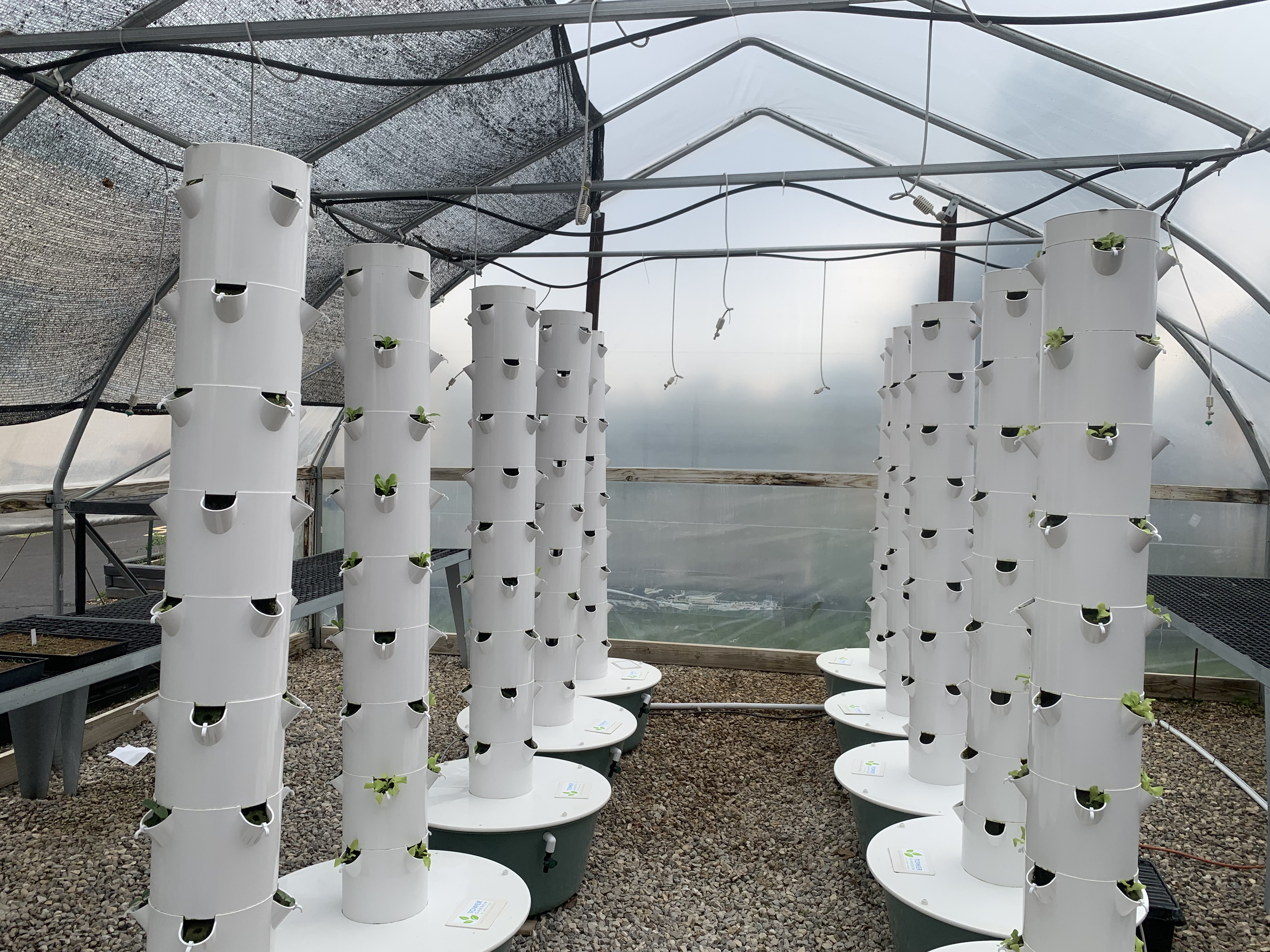 UAIP farm tower consisting of 125 11-foot towers
